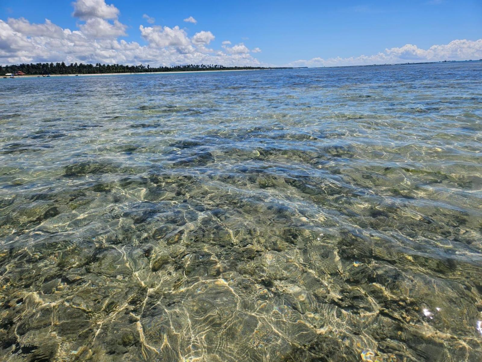 Flat Sonhos De Milagres Lägenhet São Miguel dos Milagres Exteriör bild